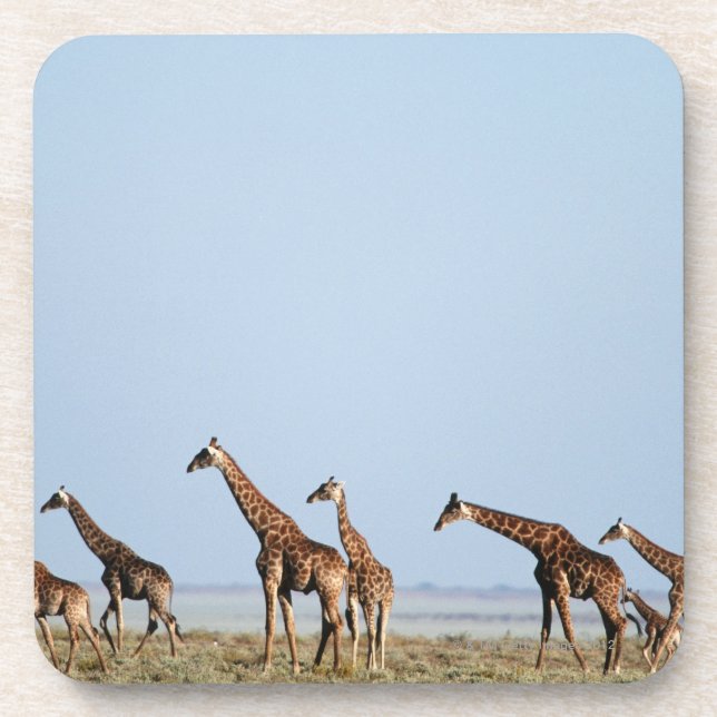 Porta-copo Parque nacional de Etosha, Namíbia 2 (Frente)
