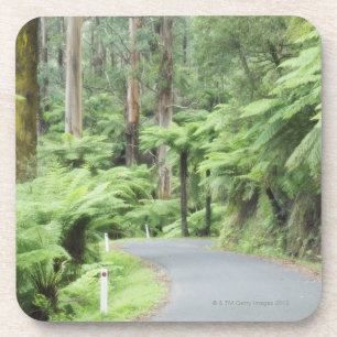 Porta-copo Parque nacional de Tarra Bulga, escalas de