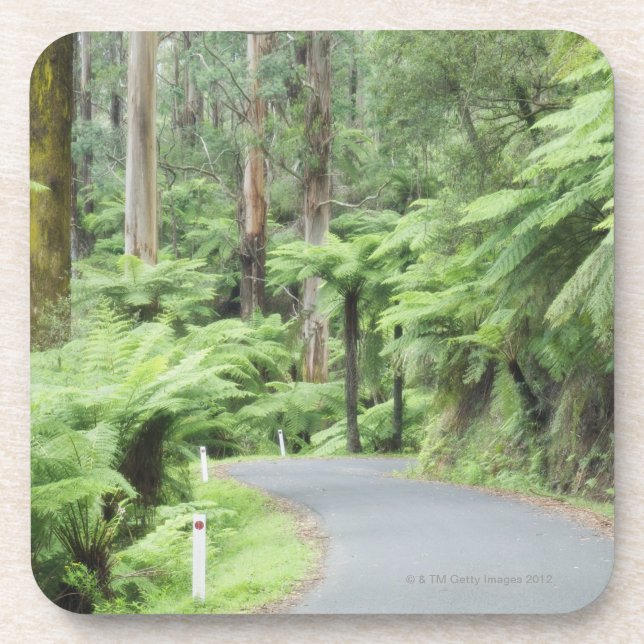 Porta-copo Parque nacional de Tarra Bulga, escalas de (Frente)