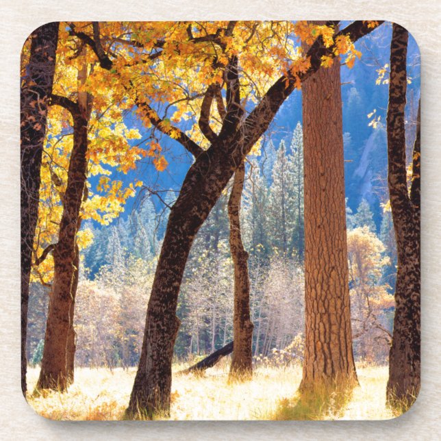 Porta-copo Parque Nacional de Yosemite (Frente)