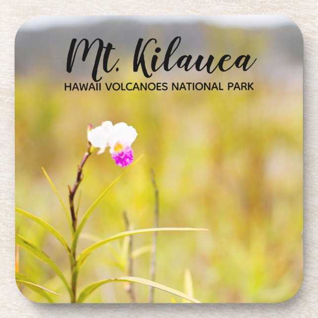 Porta-copo Parque Nacional dos Vulcões do Mt. Kilauea (Frente)