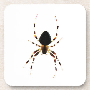 Porta-copo Páscoa costeira de aranha