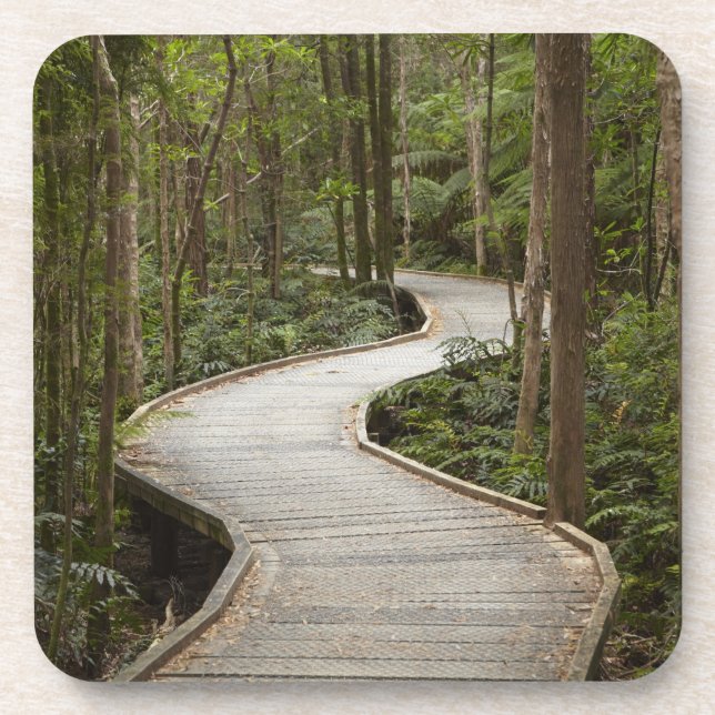 Porta-copo Passarela para Nelson Falls, Franklin - Gordon (Frente)
