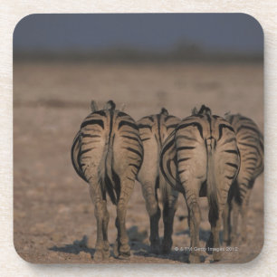 Porta-copo Passeio das zebras de Burchell
