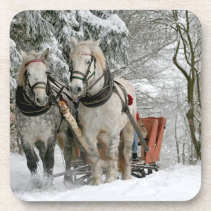 Porta-copo Passeio em Snowy Forest