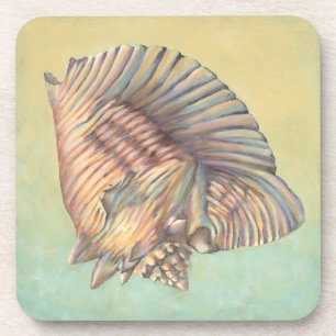 Porta-copo Pastel Grande Shell de Conch