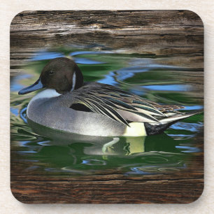 Porta-copo Pato No Lago