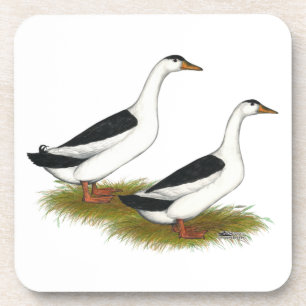 Porta-copo Patos:  Magpies Pretos