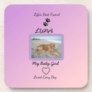Porta-copo Pawprint de Amor Diário Pet