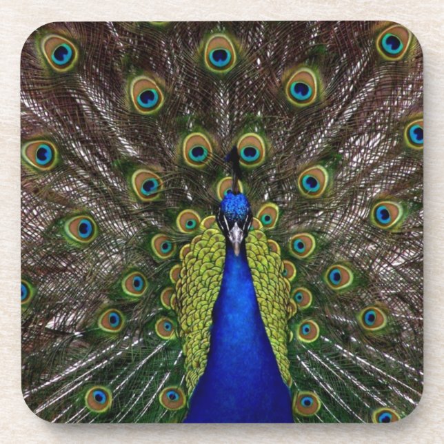 Porta-copo Peacock (Frente)