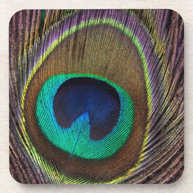 Porta-copo Peacock Feather (Frente)