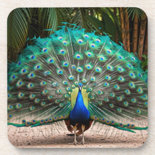 Porta-copo Peacock Feather Fanning