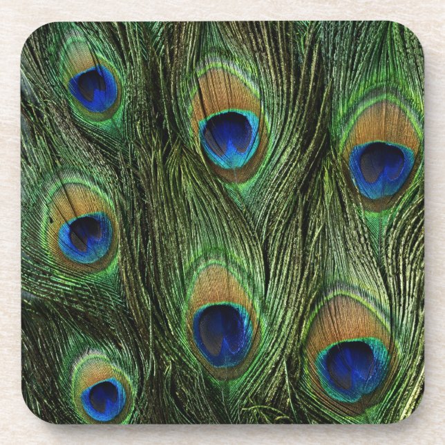 Porta-copo Peacock Feather Impressão (Frente)