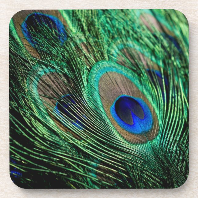 Porta-copo Peacock Feather Lucky (Frente)