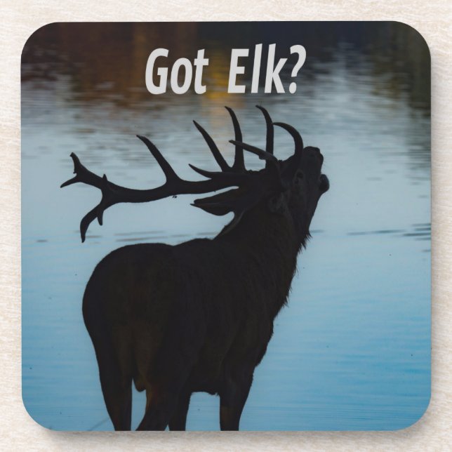 Porta-copo Pegou Elk? Engraçado Hunter Humor (Frente)