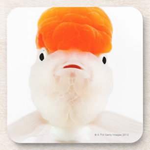 Porta-copo Peixe dourado do lionhead do Redcap (auratus do