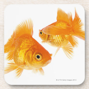 Porta-copo Peixe dourado dois que cruza-se