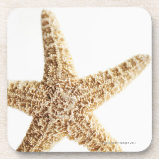 Porta-copo Peixes da estrela