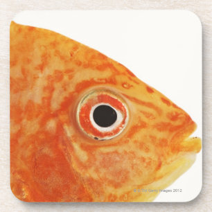 Porta-copo Peixes vermelhos do diácono