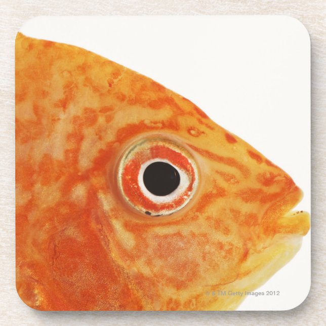 Porta-copo Peixes vermelhos do diácono (Frente)
