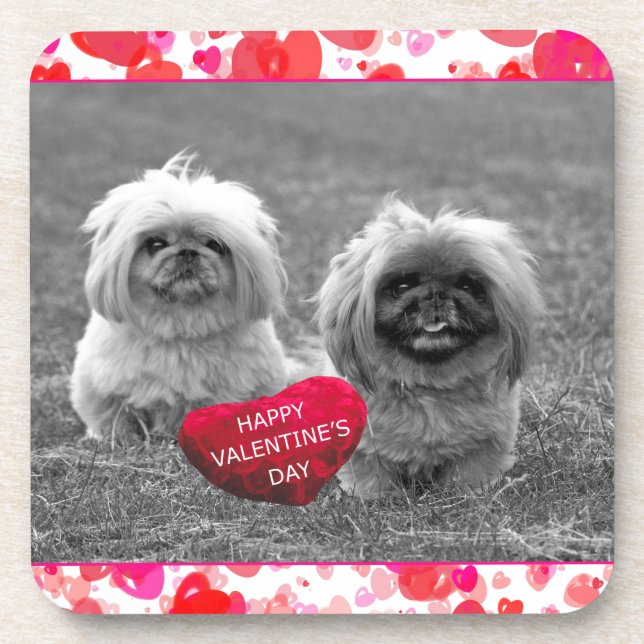 Porta-copo Pekingese Puppies desejando Feliz dia de os namora (Frente)