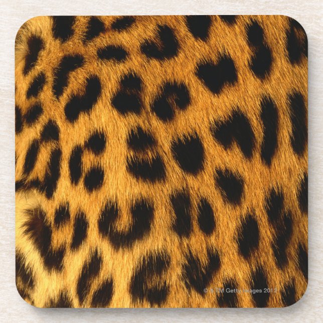 Porta-copo Pele de Jaguar (Frente)
