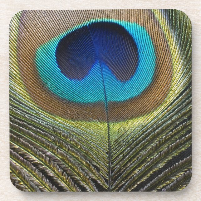 Porta-copo Pena de Peacock Dramática (Frente)