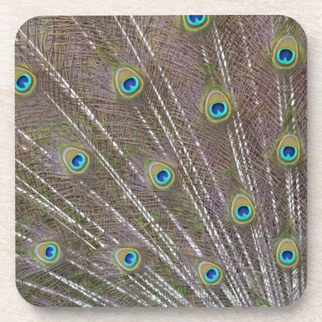 Porta-copo Penas de Peacock (Frente)