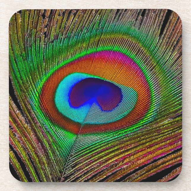 Porta-copo Penas de Peacock de Cobre Vibrantes (Frente)