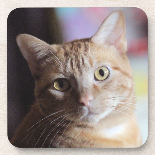 Porta-copo Penny (Frente)