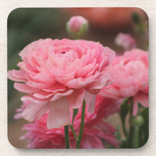 Porta-copo Peony Pink Ranunculus Closeup (Frente)