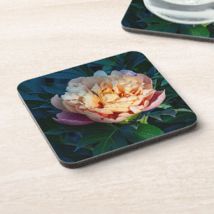 Porta-copo Pequeno Esplendor: Pêmona, Fotografia Flor