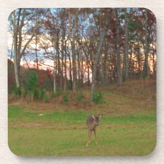 Porta-copo Pequeno Veado e Sol Rosa (Frente)