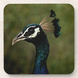Porta-copo Perfil de Peacock