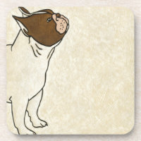 Perfil do Bulldog Francês Procurando