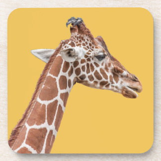 Porta-copo perfil Giraffe