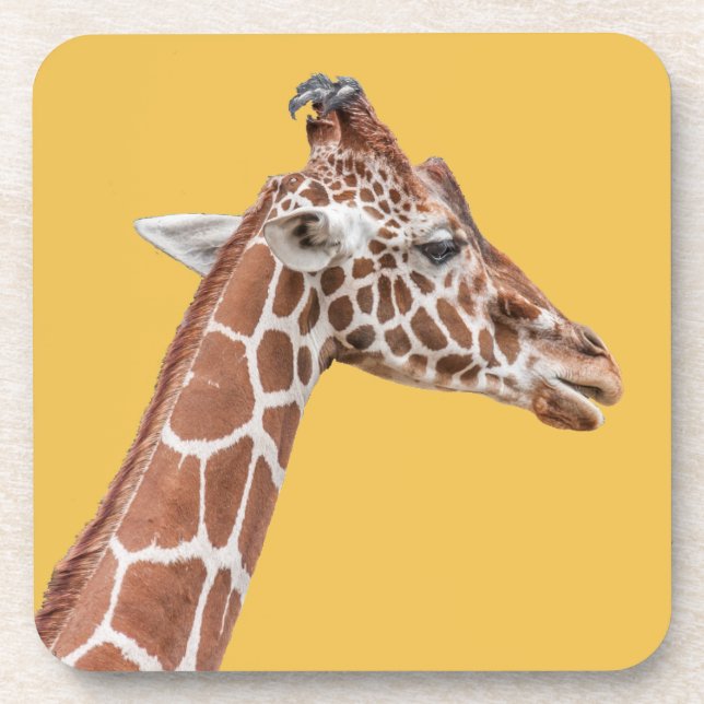Porta-copo perfil Giraffe (Frente)