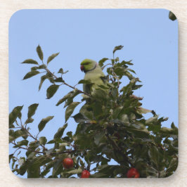 Porta-copo Periquito-verde