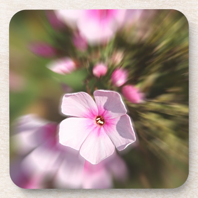 Porta-copo Periwinkle (Frente)