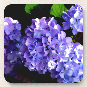 Porta-copo Periwinkle Hydrangeas
