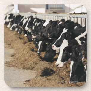 Porta-copo Perspectiva de diminuição das cabeças da vaca q