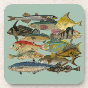 Porta-copo Pesca de profundidade Pesca exótica Tropical