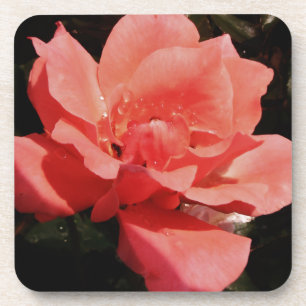 Porta-copo pêssego cor-de-rosa e dewdrops