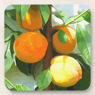 PORTA-COPO PÊSSEGOS