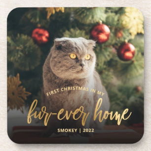 Porta-copo Pet Photo First Christmas Forever Home Dourado Scr
