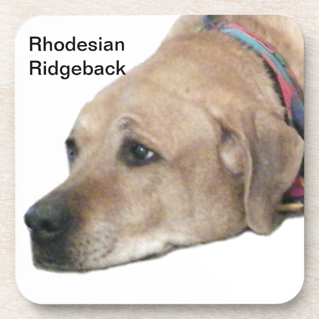 Porta-copo Pet Ridgeback Dog Picture (Frente)