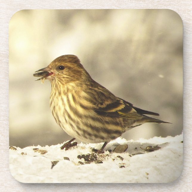 Porta-copo Pine Siskin (Frente)
