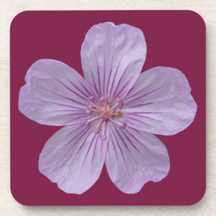 Porta-copo Pineywoods Geranium nº 1