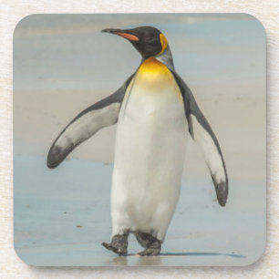 Porta-copo Pinguim andando na praia