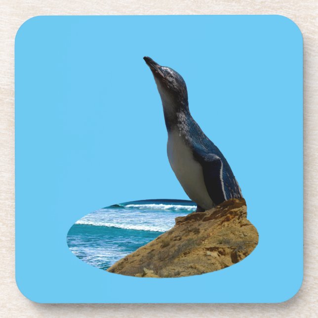 Porta-copo Pinguim bonito, (Frente)